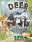 Image for Deer 2019 Calendar (UK Edition)