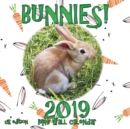 Image for Bunnies! 2019 Mini Wall Calendar (UK Edition)