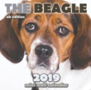 Image for The Beagle 2019 Mini Wall Calendar (UK Edition)