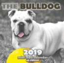 Image for The Bulldog 2019 Mini Wall Calendar (UK Edition)