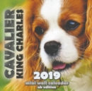 Image for Cavalier King Charles 2019 Mini Wall Calendar (UK Edition)
