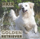 Image for Golden Retriever 2019 Mini Wall Calendar (UK Edition)