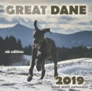 Image for Great Dane 2019 Mini Wall Calendar (UK Edition)