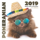 Image for Pomeranian 2019 Mini Wall Calendar (UK Edition)