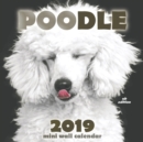 Image for Poodle 2019 Mini Wall Calendar (UK Edition)