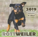 Image for Rottweiler 2019 Mini Wall Calendar (UK Edition)