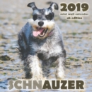 Image for Schnauzer 2019 Mini Wall Calendar (UK Edition)