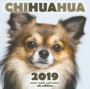 Image for Chihuahua 2019 Mini Wall Calendar (UK Edition)