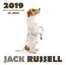 Image for Jack Russell 2019 Mini Wall Calendar (UK Edition)