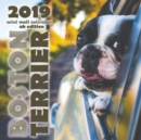 Image for Boston Terrier 2019 Mini Wall Calendar (UK Edition)