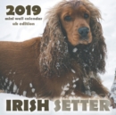Image for Irish Setter 2019 Mini Wall Calendar (UK Edition)