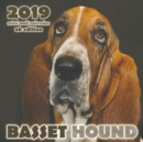 Image for Basset Hound 2019 Mini Wall Calendar (UK Edition)