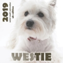 Image for Westie 2019 Mini Wall Calendar (UK Edition)