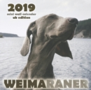 Image for Weimaraner 2019 Mini Wall Calendar (UK Edition)