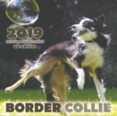Image for Border Collie 2019 Mini Wall Calendar (UK Edition)