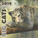 Image for Big Cats 2019 Mini Wall Calendar (UK Edition)