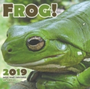 Image for Frog! 2019 Calendar (UK Edition)