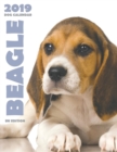 Image for Beagle 2019 Dog Calendar (UK Edition)