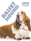 Image for Basset Hound 2019 Dog Calendar (UK Edition)