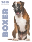 Image for Boxer 2019 Dog Calendar (UK Edition)