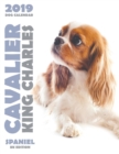 Image for Cavalier King Charles Spaniel 2019 Dog Calendar (UK Edition)