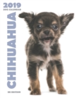 Image for Chihuahua 2019 Dog Calendar (UK Edition)