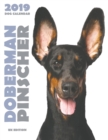 Image for Doberman 2019 Dog Calendar (UK Edition)