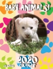 Image for Baby Animals! 2020 Calendar (UK Edition)