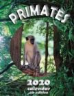 Image for Primates 2020 Calendar (UK Edition)