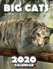 Image for Big Cats 2020 Calendar (UK Edition)