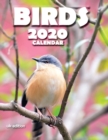 Image for Birds 2020 Calendar (UK Edition)