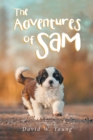 Image for The Adventures of Sam