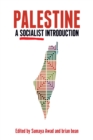 Image for Palestine  : a socialist introduction