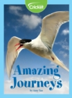 Image for Amazing Journeys