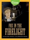 Image for Fox in the Firelight