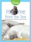 Image for Home from the Sea
