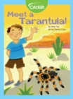 Image for Meet a Tarantula!