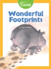 Image for Wonderful Footprints