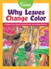 Image for Why Leaves Change Color: An Ojibwe Story