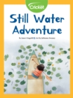 Image for Still Water Adventure