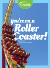 Image for You&#39;re on a Roller Coaster!