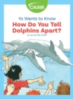 Image for Yo Wants to Know: How Do You Tell Dolphins Apart?