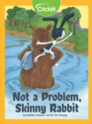 Image for Not a Problem, Skinny Rabbit