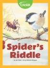 Image for Spider&#39;s Riddle