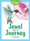 Image for Jewel on a Journey
