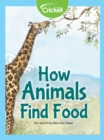 Image for How Animals Find Food