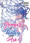 Image for Grimgar of Fantasy and Ash (Light Novel) Vol. 11