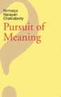 Image for Pursuit of Meaning