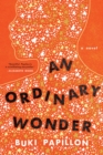 Image for An Ordinary Wonder : A Novel