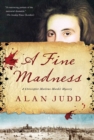 Image for A Fine Madness : A Christopher Marlowe Murder Mystery